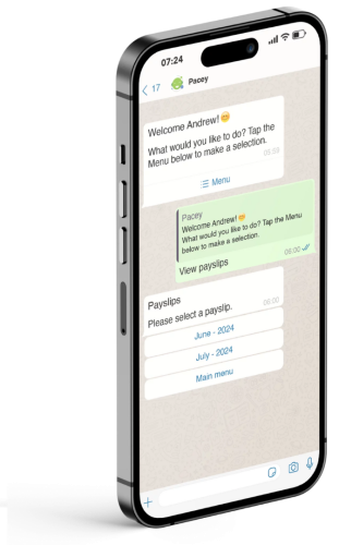 Payspace - pacey